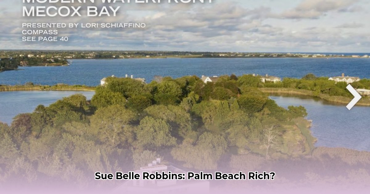 sue-belle-robbins-net-worth